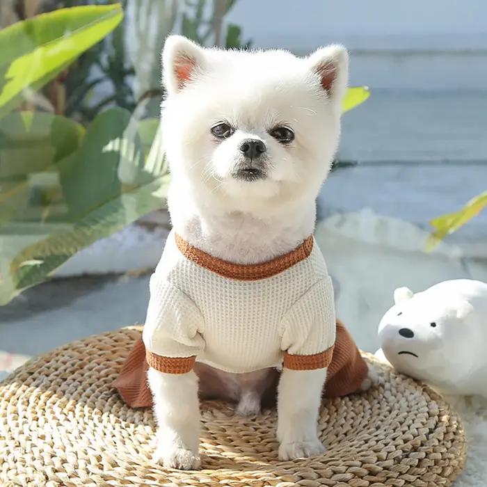 Printemps chien robe jupes pour animaux de compagnie amoureux