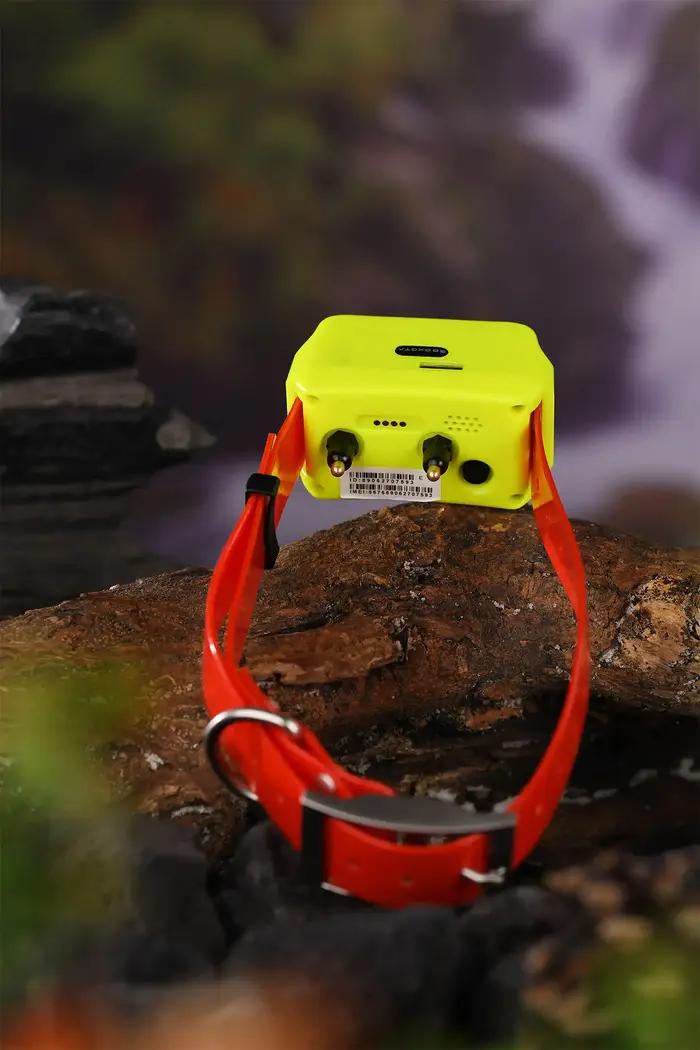 Traceur GPS pour chien de chasse 4G