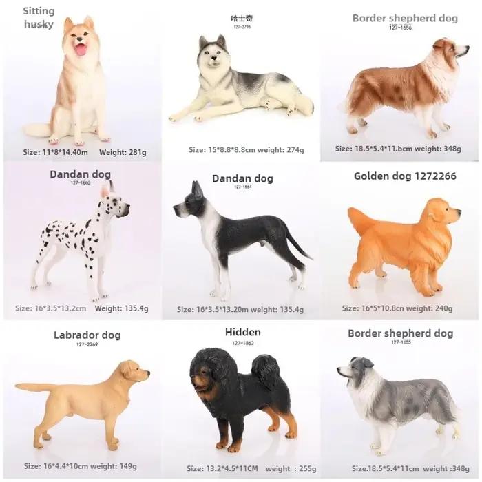 Ensemble de modèles de chien animal solide réaliste-masque tibétain, Border Collie, Great Dane, Golden Retriever, Husky-jouet miniature
