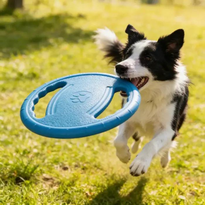 Jouet pour chien Eva Flying Disc