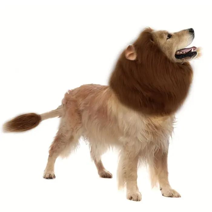 Chapeau de lion amusant pour chiens
