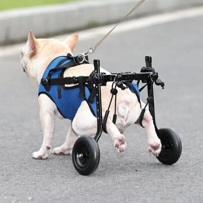 Chariot de fauteuil roulant pour chien handicapé