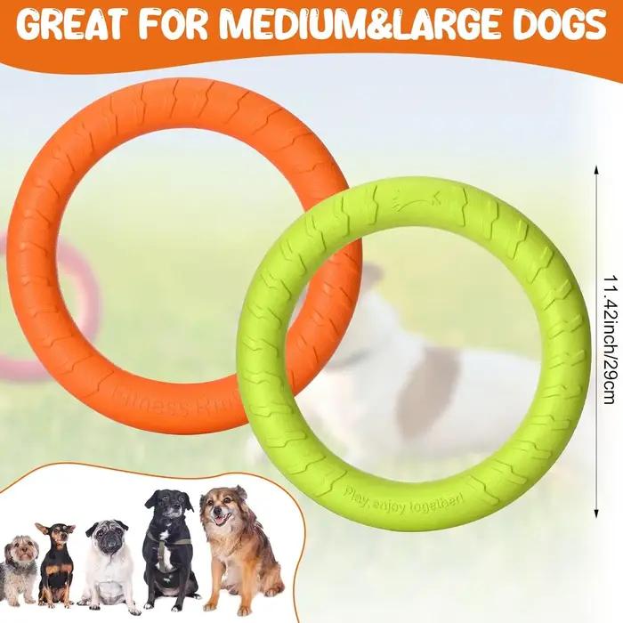 Jouet à mâcher à disque volant Durable pour chien