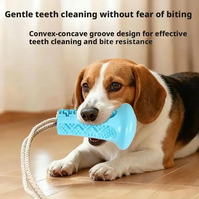 Jouet à mâcher pour chien avec ventouse