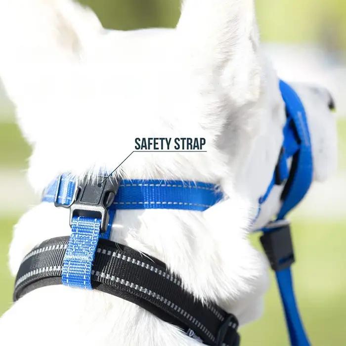 Collier anti-aboiement en nylon respirant avec muselière réfléchissante pour entraîner et sécuriser votre chien lors des promenades et randonnées nocturnes