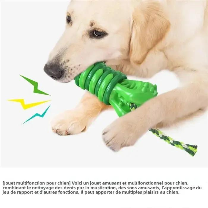 Jouets de jeu pour chiens de petites et moyennes tailles - balles grinçantes Gigwi pour divertissement et activité physique - diverses couleurs disponibles