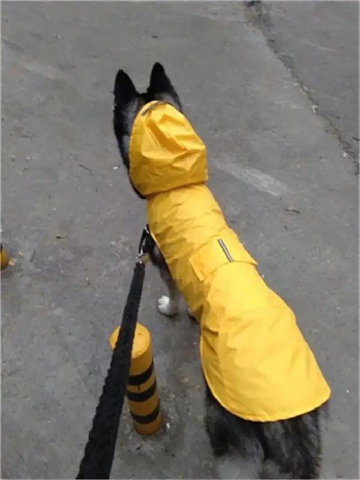 Manteau imperméable réfléchissant pratique pour chien