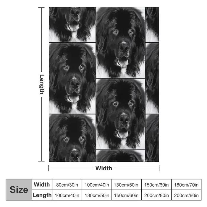 Couverture Raschel en peluche avec portrait de chien Terre Neuve noir et blanc classique pour homme occasions spéciales usage quotidien à la maison hôtel avion sofa