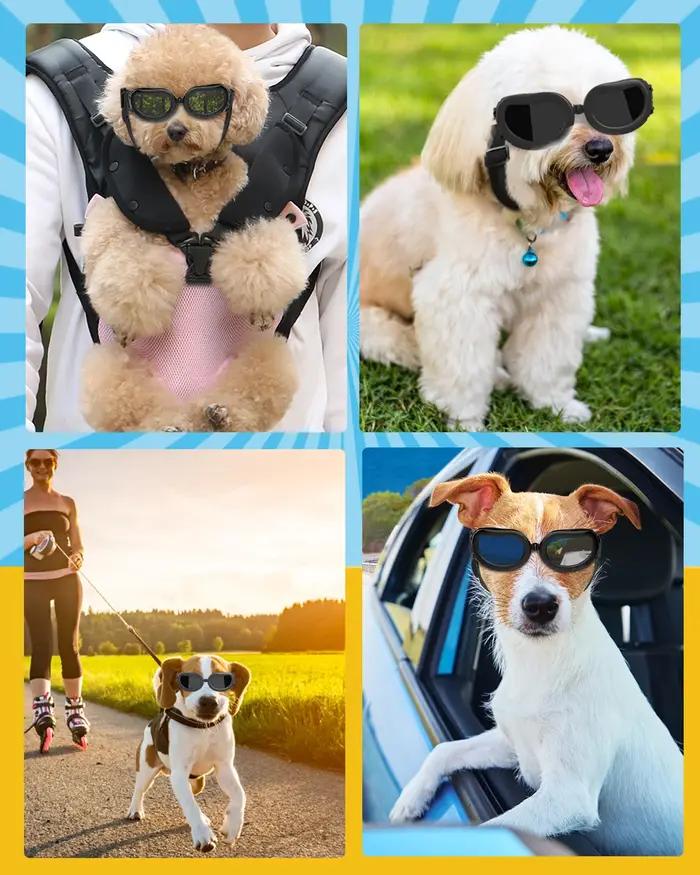 Lewondr Lunettes de soleil pour chiens de petite raie