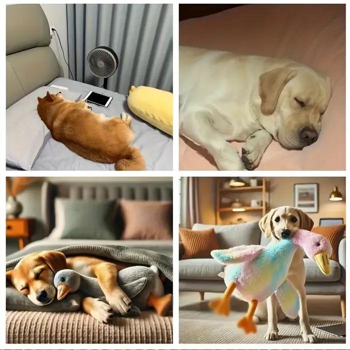 Jouet en peluche canard coloré doux de 50cm pour chats et chiens