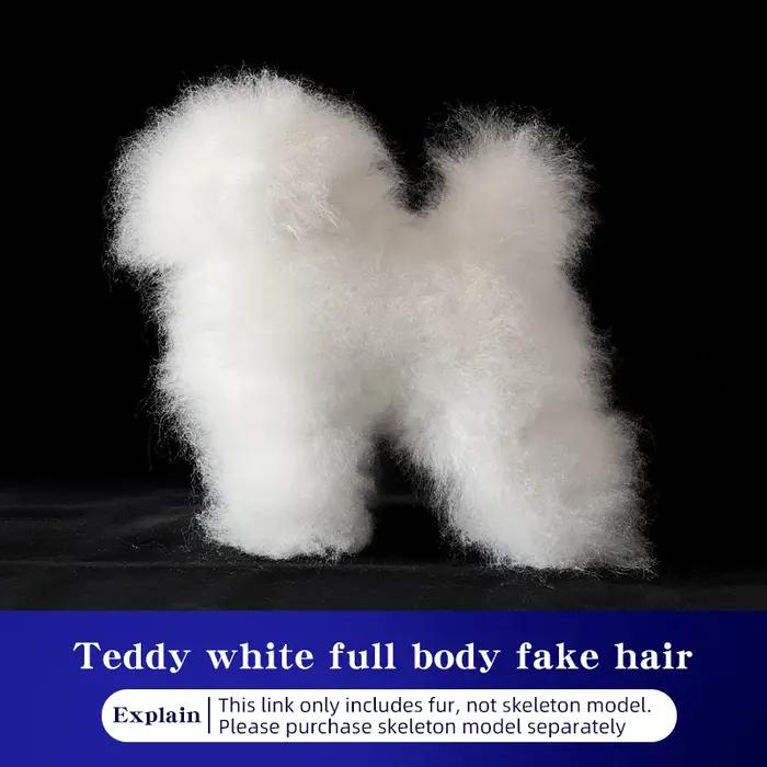 Tête de mannequin Teddy pour simulation de toilettage, modèle de squelette complet pour chien, idéal