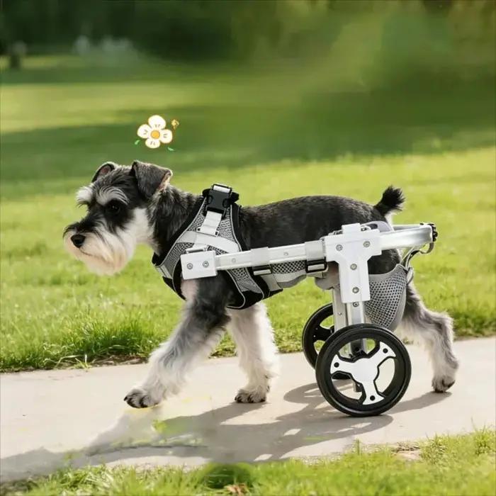 Chariot de Mobilité Réglable pour Animaux de Compagnie avec Roues – Aide à la Rééducation pour Chiens et Chats