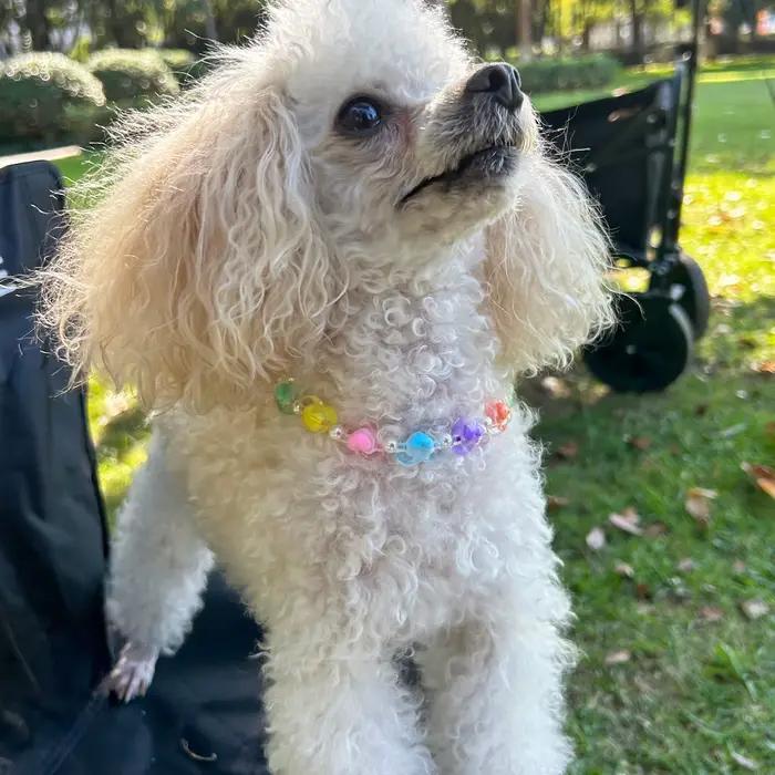 Colliers pour chiens mignons, collier de perles de couleur bonbon, perles de fleurs d'amour, lien de chaîne en alliage, collier réglable pour chien et chat, fournitures pour animaux de compagnie