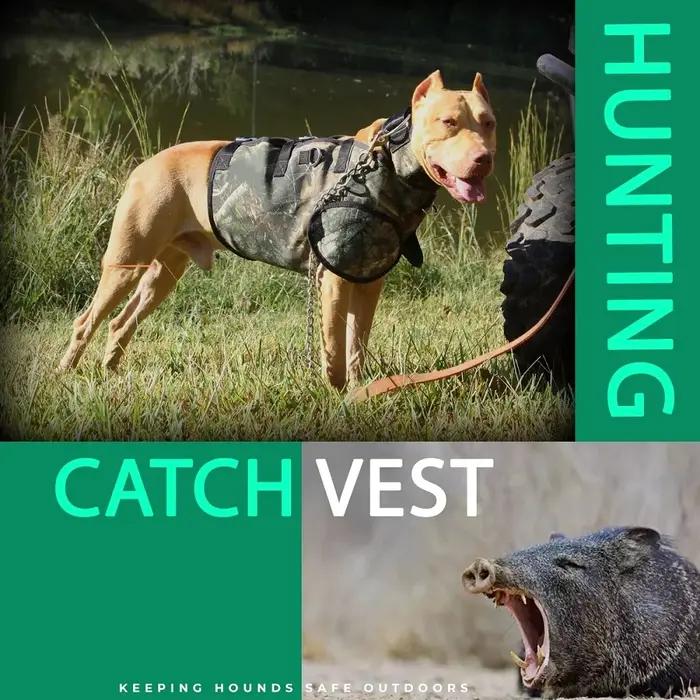 Protège-cou en forme de sanglier pour chien de chasse