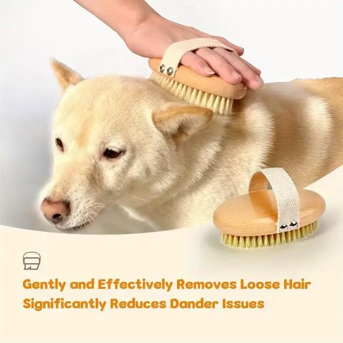 Brosse professionnelle pour chiens à poils courts avec poils de sanglier poignée antidérapante toilettage doux pour chiens et soins du pelage