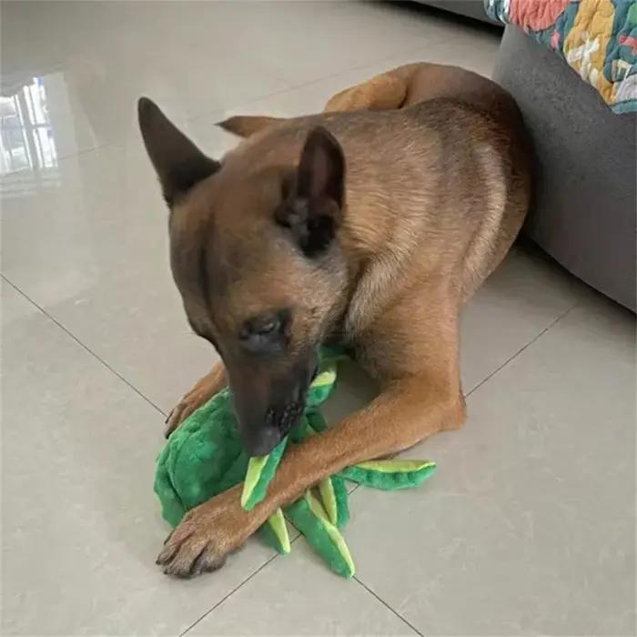 Jouet à mâcher pour chiot en peluche en forme de pieuvre