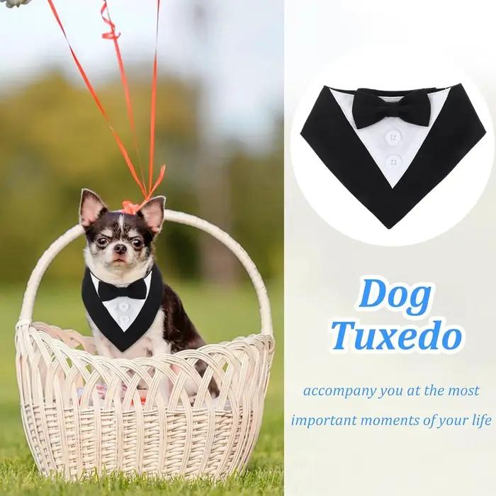Sucado beau mariage chien Bandana costume élégant noeud papillon luxe triangulaire écharpe collier fiançailles fête cadeaux accessoires