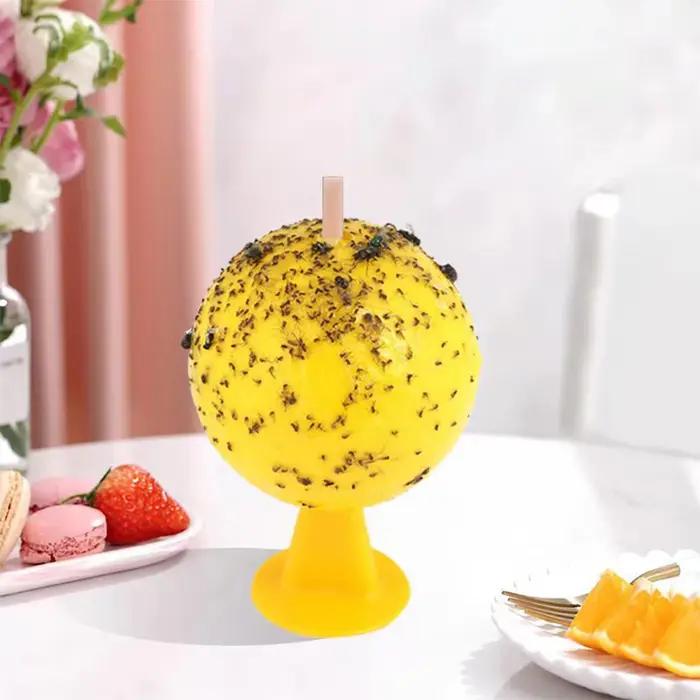 Pièges à mouches des fruits
