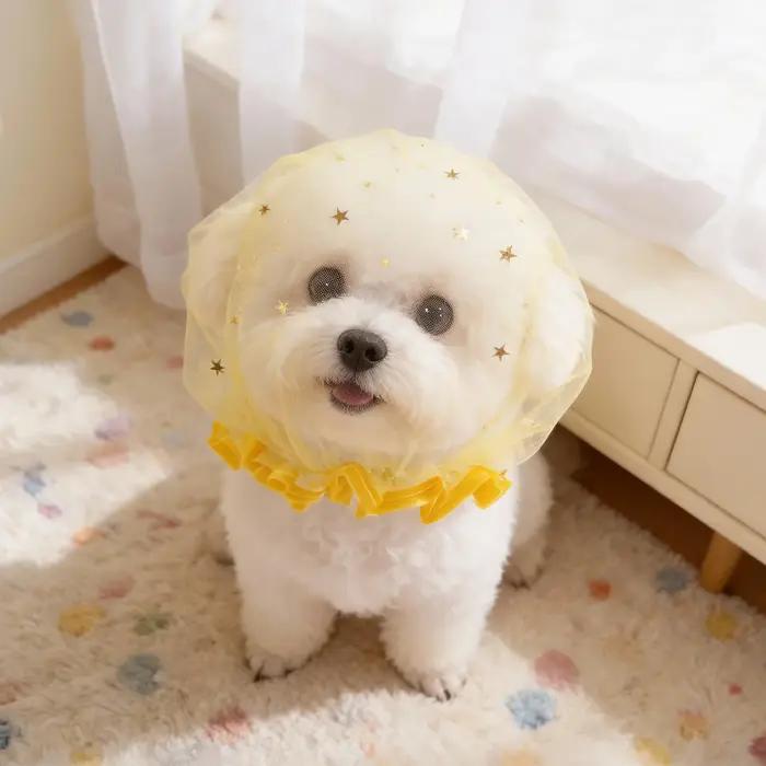 Cache-tête en maille pour chiens, anti-mastication, respirant, portable, pour la marche en extérieur