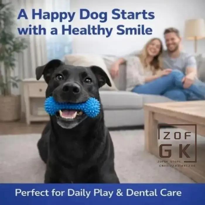 Jouet de brossage dentaire pour chien avec ventouse et corde à tirer