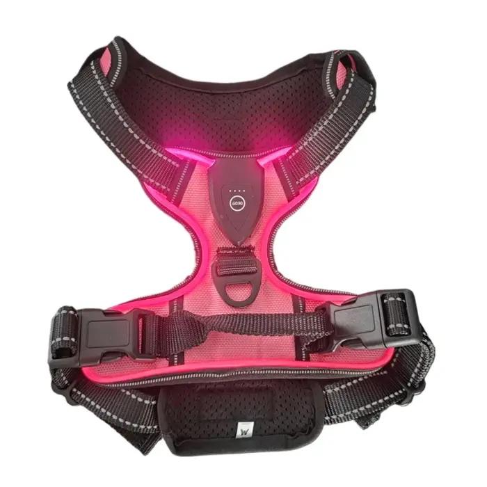 Harnais lumineux LED rechargeable pour chien gilet de sécurité pour promenade nocturne modes d'éclairage trois couleurs disponibles pour animaux de compagnie sécurité visibilité confort nocturne