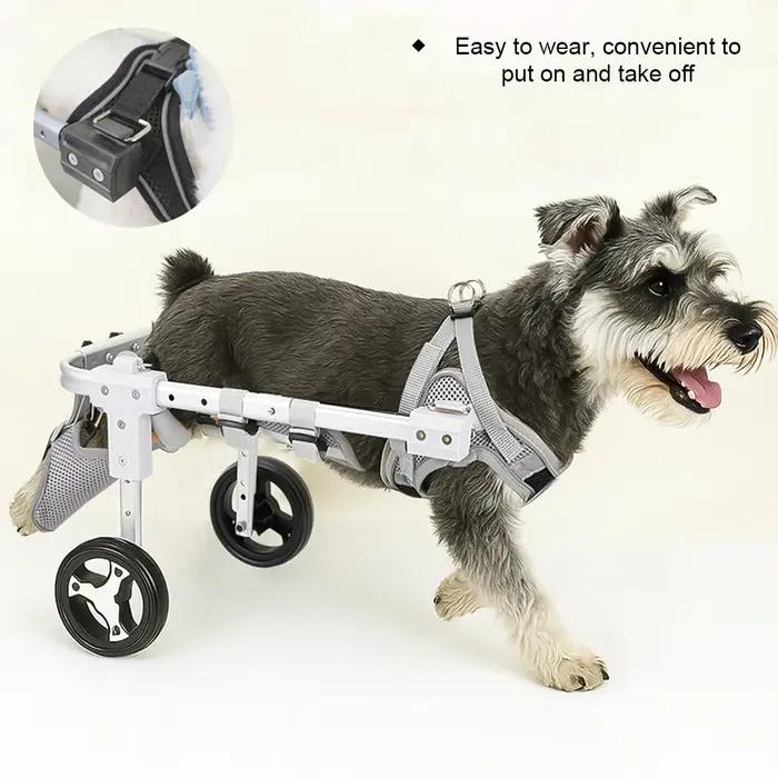 Fauteuil roulant pour pieds arrière