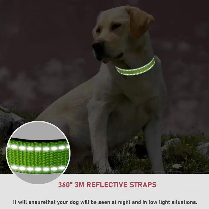 Collier en nylon pour chien élégant pour chiots et grands chiens tous les styles et couleurs pour chaque saison et occasion spéciale