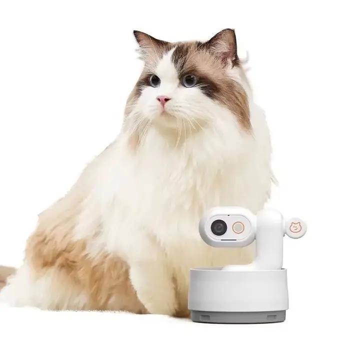 Caméra de vlog pour chat Ai, moniteur d'activité pour animaux de compagnie avec application, caméra