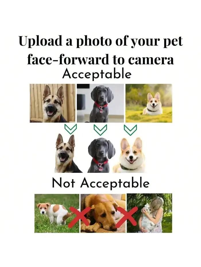 Carte personnalisée pour chien, carte PVC pour animal de compagnie, carte d'identification personnalisée pour animal, cadeau d'anniversaire pour animal, carte de poche idéale pour animal, cadeau pour