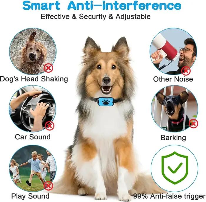 Collier anti-aboiement pour chien de compagnie