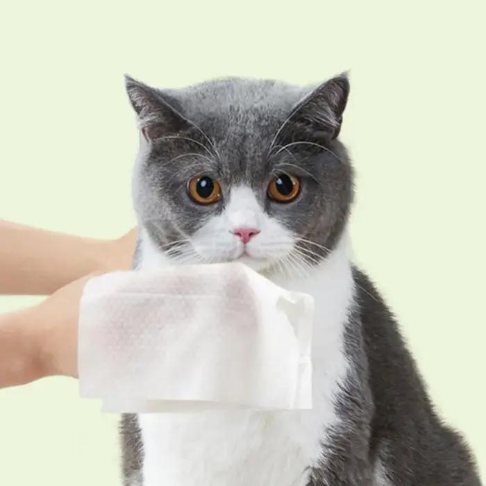 OUWO 80 pièces/sac lingettes pour animaux de compagnie clair oeil d'animal