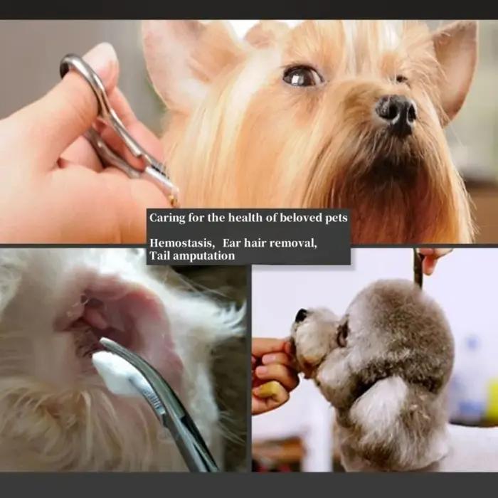 Pince hémostatique professionnelle pour Salon de beauté des animaux de compagnie