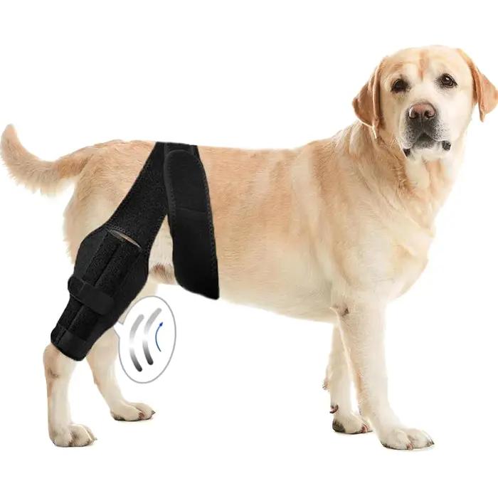 Genouillère solide pour chiens tissu pour soutenir jambes avant arrière blessées accidents chirurgie soins vétérinaires