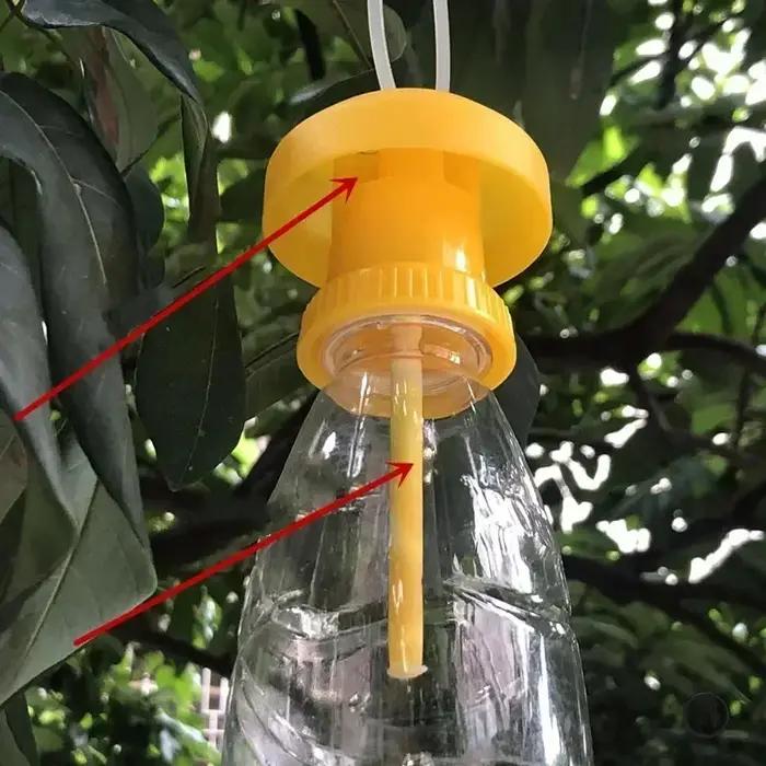 Piège à nuisibles en plastique pour maison et ferme capture mouches fourmis chauves-souris punaises de lit blattes grillons moustiques 6x6x2cm 2 pièces