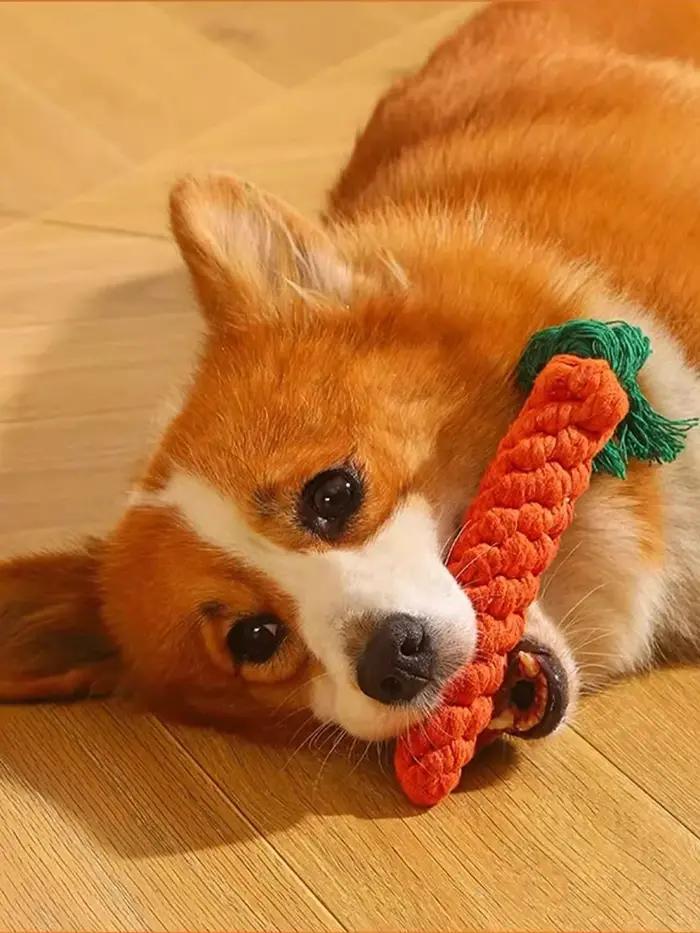 Corde tissée à la main en lin pour chiens de petite et moyenne taille jouets dents meulage occassions spéciales anniversaire nouveau membre famille