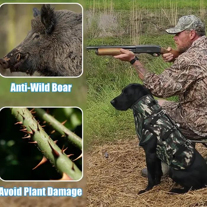 Armure de chien de chasse en lin verte pour protection tout-terrain et toutes les saisons