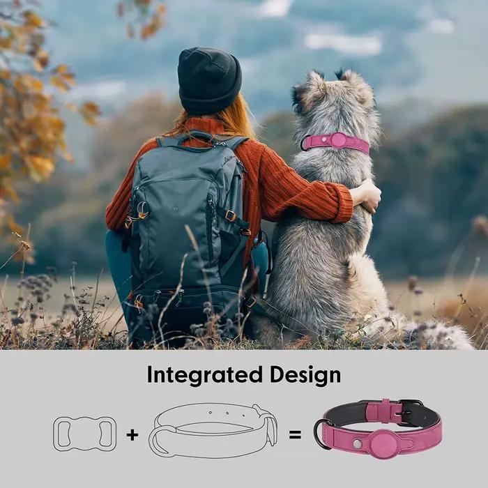 Collier pour chien en cuir PU de haute qualité