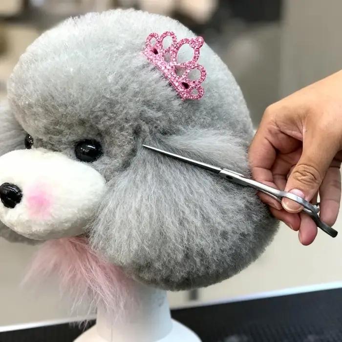 Tête d'entraînement professionnelle pour toilettage canin