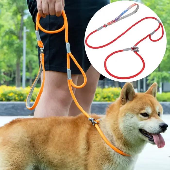 Laisse réglable pour chien en nylon double poignée pour chiots et chiens adultes sécurité visibilité couleurs variées occasions spéciales