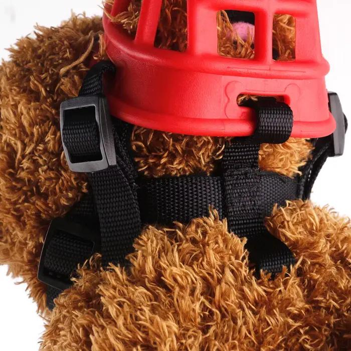 Muselière pour chien