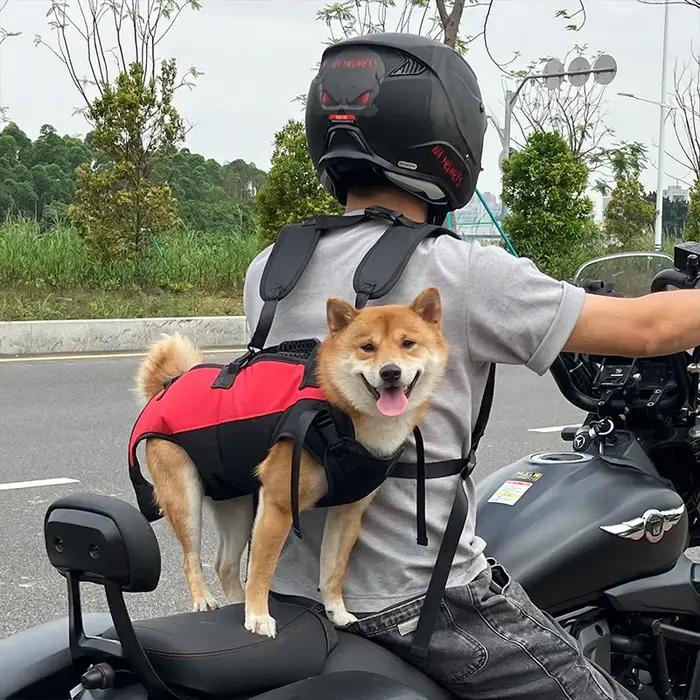 Sac à dos pour chien de cyclisme en plein air pour animaux de compagnie