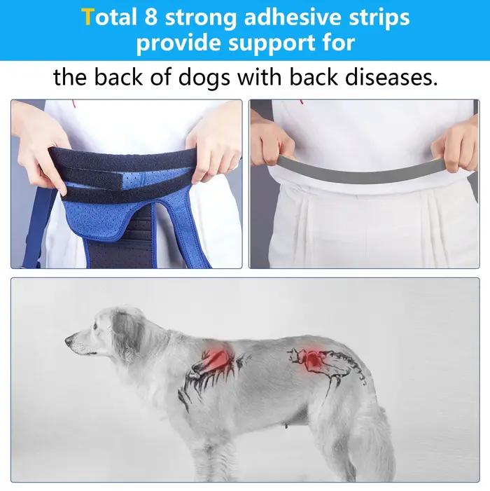 Coodeo Attelle dorsale pour chiens atteints d'arthrite