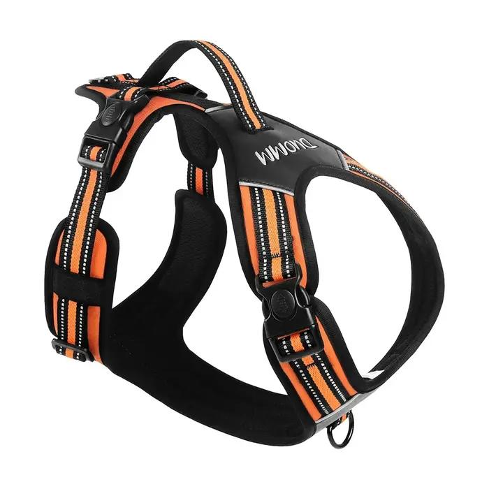 Harnais pour chien, harnais sans traction