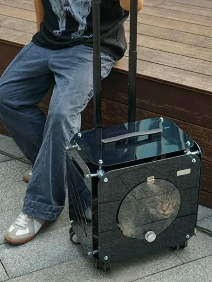 Chariot de voyage transparent pour animaux de compagnie