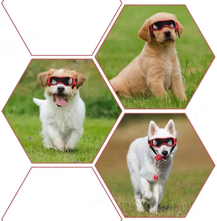 Lunettes de soleil pour chien de petite et moyenne taille