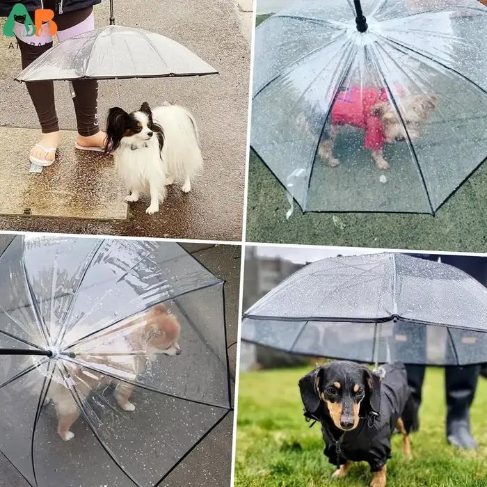 ATUBAN Parapluie pour chien avec laisse pour petits animaux