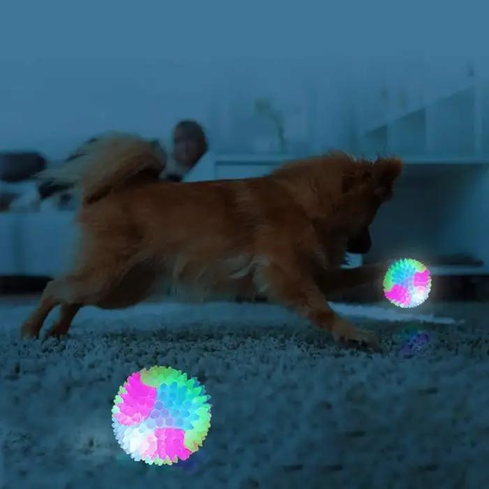 Balle lumineuse pour animaux de compagnie