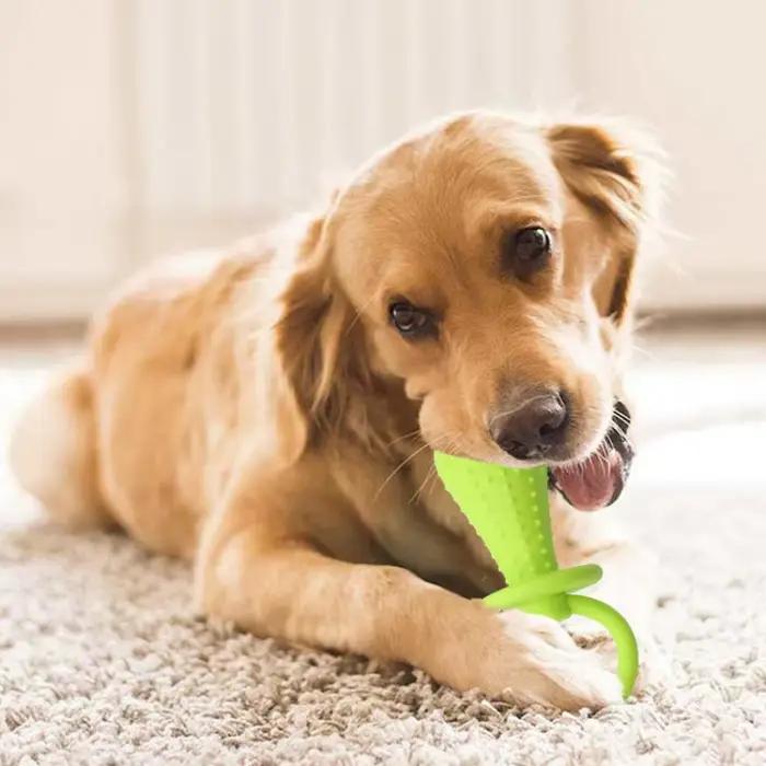Jouets pour petits chiens