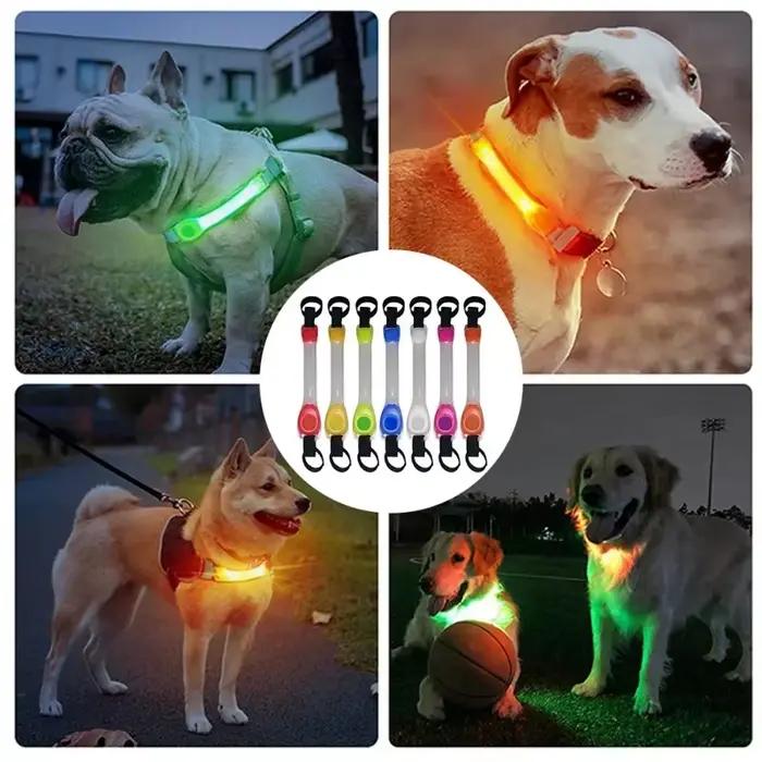 Collier lumineux de sécurité anti-perte pour chien