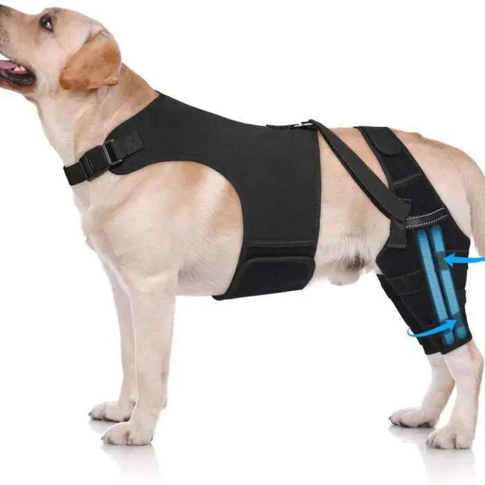 Attelle pour genou de chien pour l'entorse du ligament croisé antérieur (LCA) de la patte arrière
